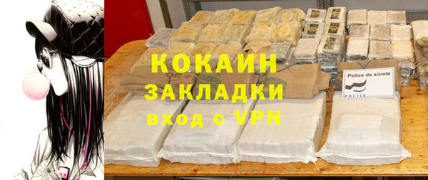 ешки Алексин