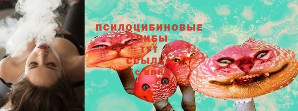 мяу мяу мука Алзамай
