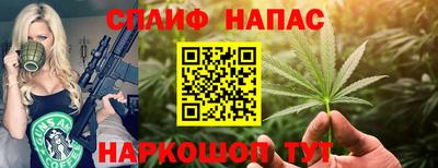 крисы Анапа