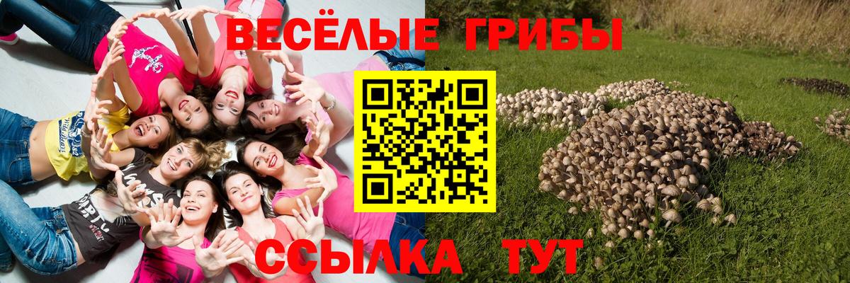 Псилоцибиновые грибы Magic Shrooms Сунжа