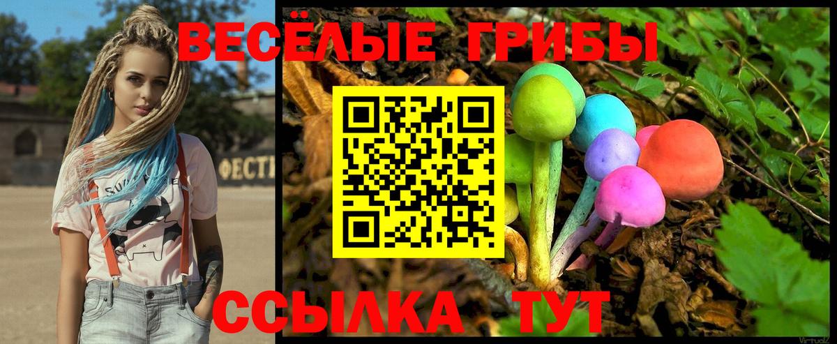 Сунжа  цены   Вход с VPN  Галлюциногенные грибы прущие грибы 